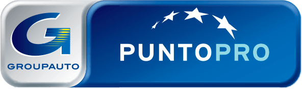 PuntoPro logo